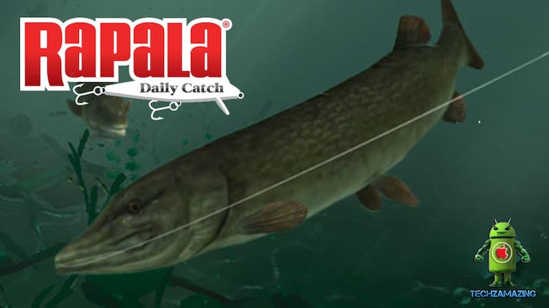 Rapala Fishing